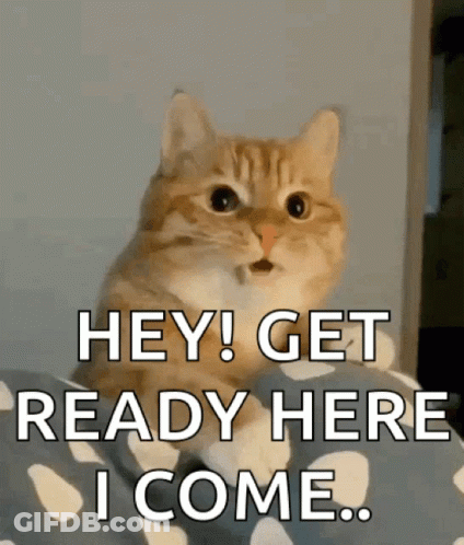 Surprised Cat Saying Hey Get Ready GIF