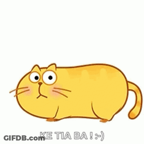 Surprised Cat Saying Ke Tia Ba GIF
