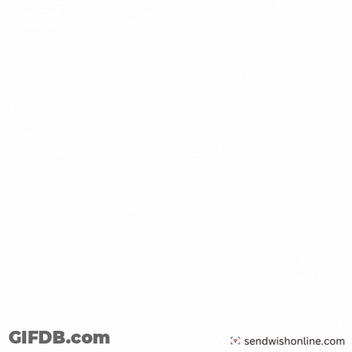 Surprised Cat Saying Oh My God You Remembered GIF
