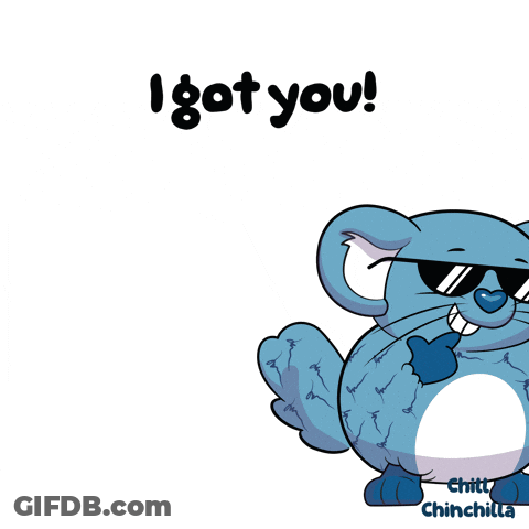 Surprised Cat Sitting On Couch Saying How Dare You GIF