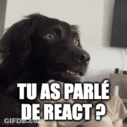 Surprised Dog Tu As Parle De React ? GIF