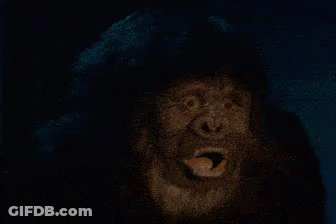 Surprised Gorilla GIF