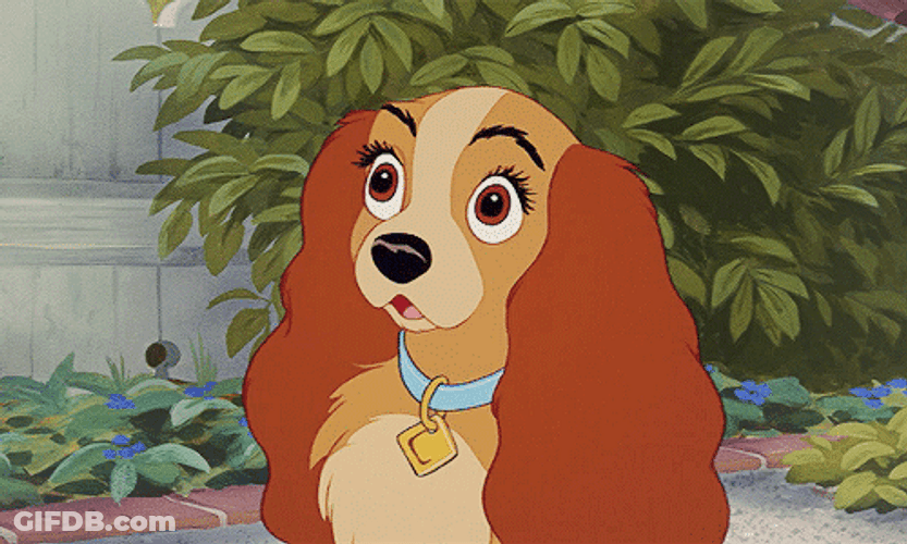 Surprised Lady The Dog GIF