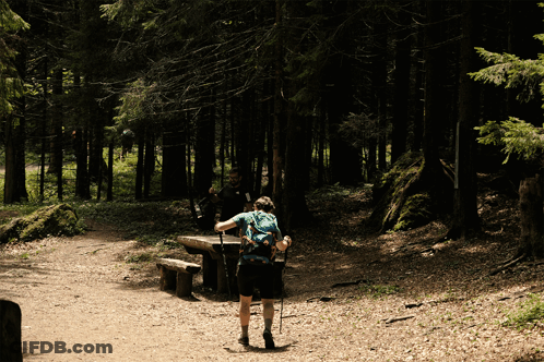 Surprised Man In Forest GIF