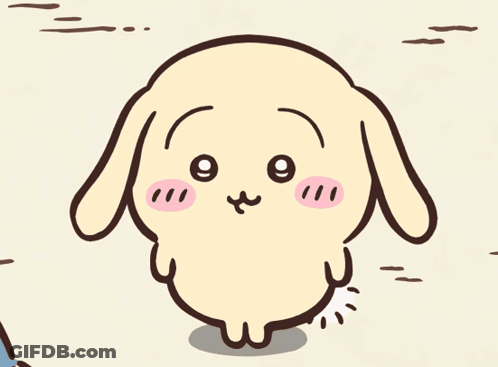 Surprised Rabbit GIF