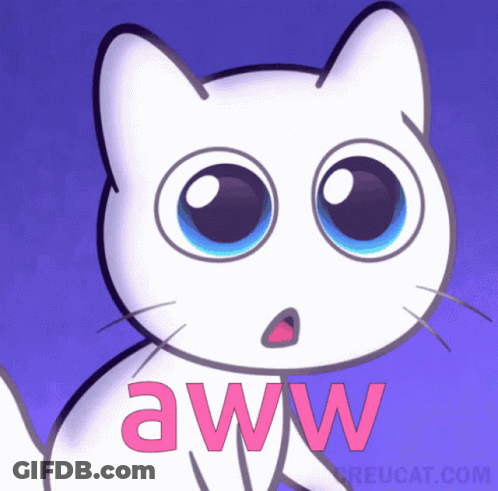 Surprised White Cat Aww GIF