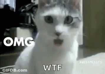 Surprised White Cat On Couch GIF
