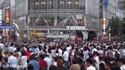 Surprised Woman Close Up GIF