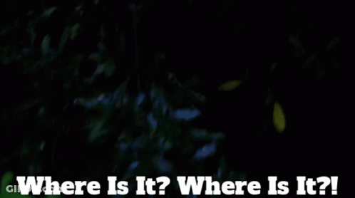 Surprised Woman My Wine Window Where Is It GIF