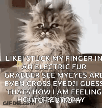 Surprised Woman On Bravo GIF