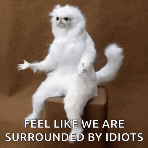 Surrounded By Idiots Albino Monkey GIF