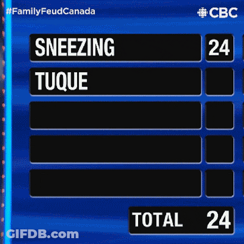 Survey Says Gerry Dee Top 2 Answer GIF