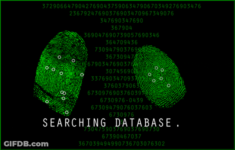 Surveying And Searching Database GIF