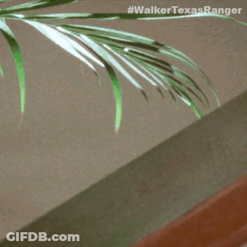 Surveying Cordell Walker GIF