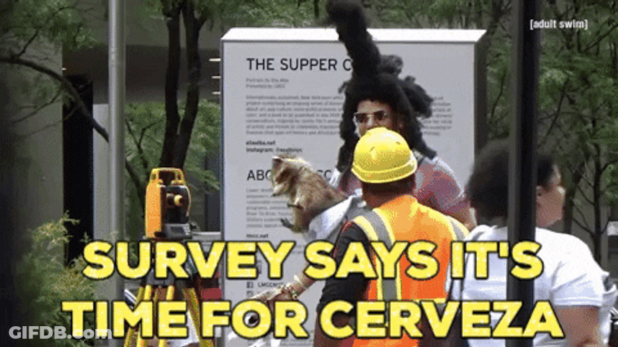 Surveys Says It's Time For Cervezs GIF