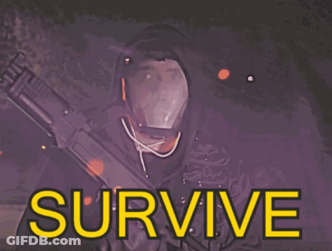 Survive Call Of Duty War Zone GIF