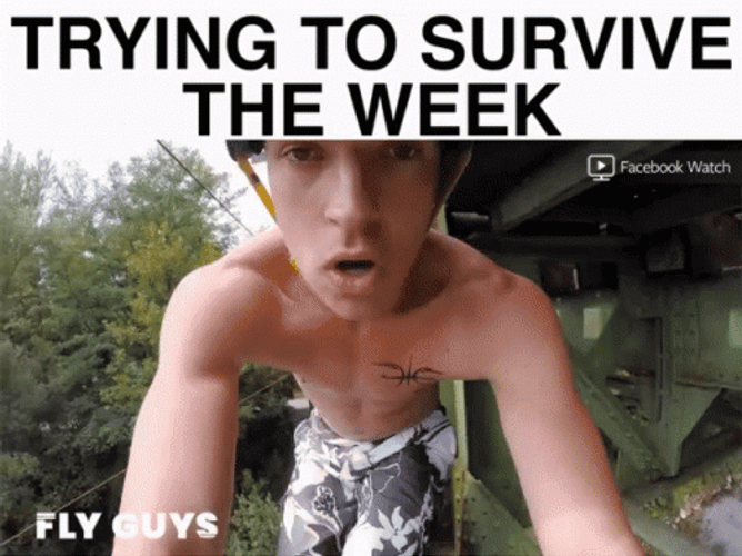 Surviving Another Week GIF