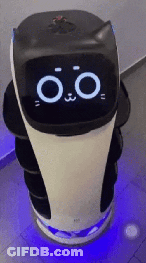 Sushi Robot Cat GIF