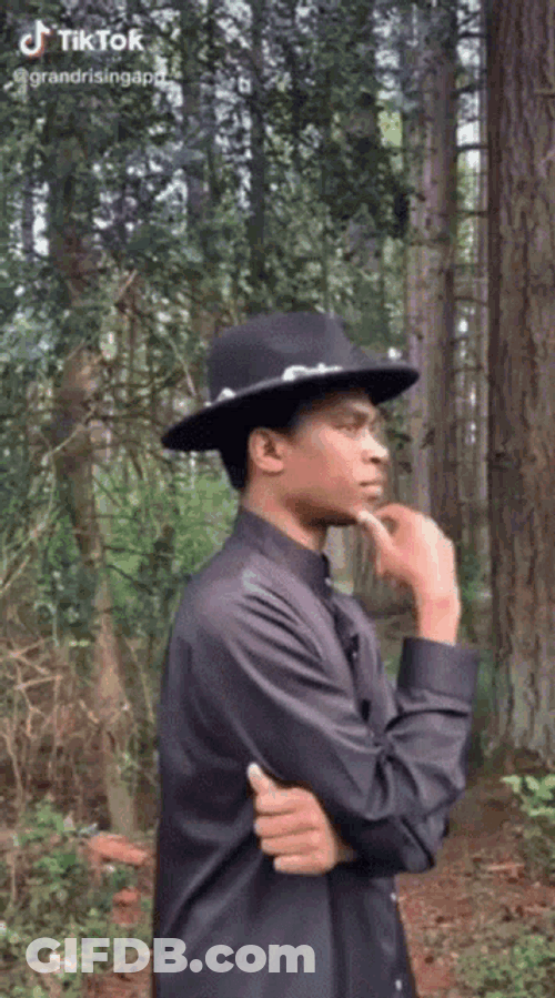 Sushichaeng William Knight GIF
