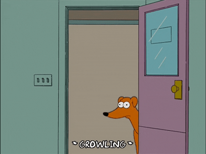 Suspicious Growling Dog GIF