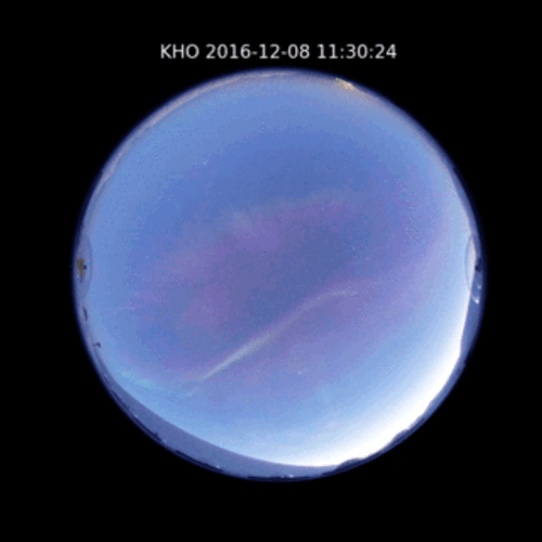 Svalbard Aurora All-Sky Camera GIF