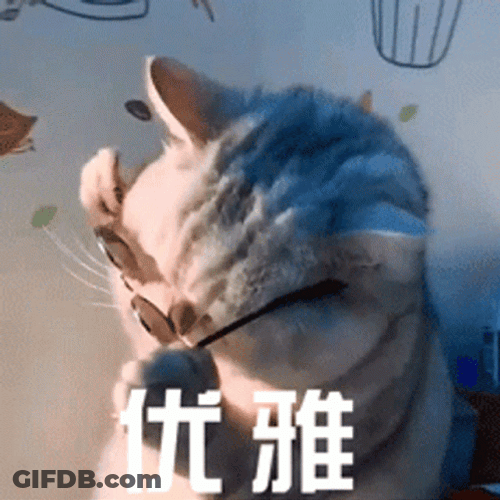 Swag Boss Cat GIF