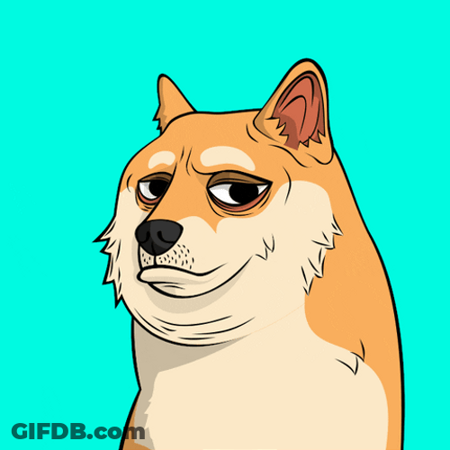 Swag Eyeglass Dog Meme GIF