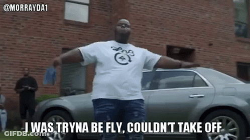 Swag Fly GIF
