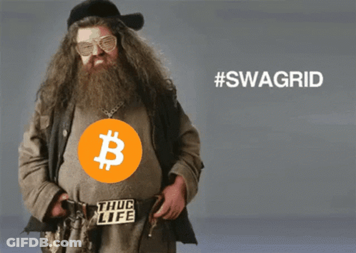 Swag Style Rubeus Hagrid GIF