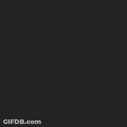 Swallow Letter By Letter GIF