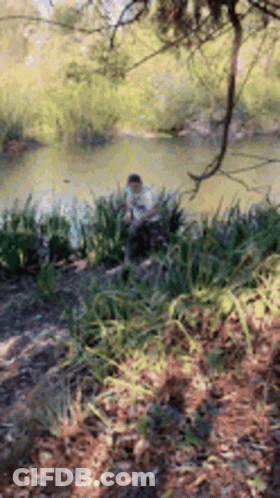 Swamp Charlie GIF