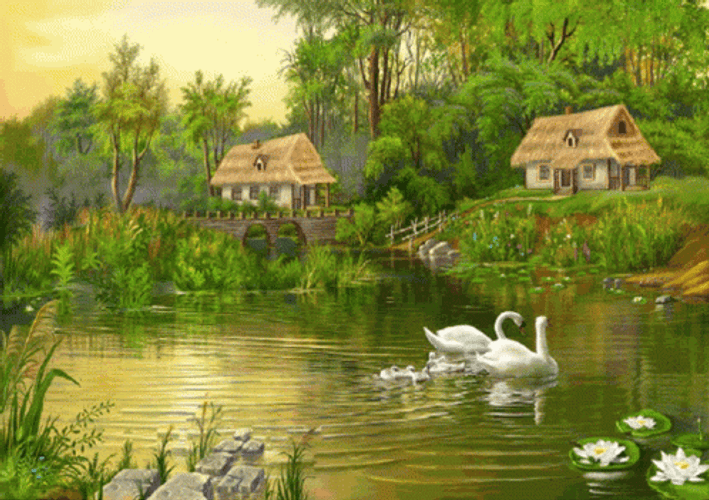 Swan Lake HD GIF