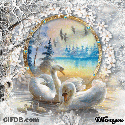 Swans And Ducklings In Water Blingee GIF