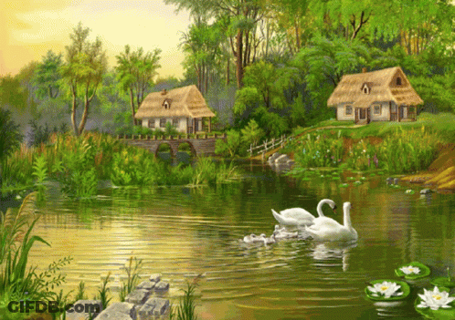 Swans Swimming In Lake With House GIF