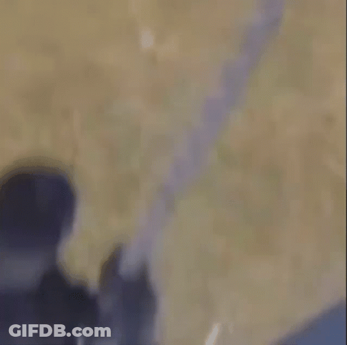Swat Urgent Rescue GIF