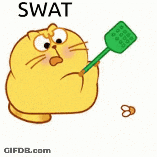 Swat Yolk Pie Cat GIF
