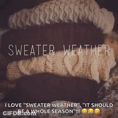 Sweater Weather Quote On Sweaters GIF
