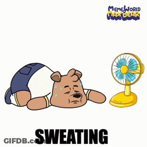 Sweating Bear Next To Fan GIF