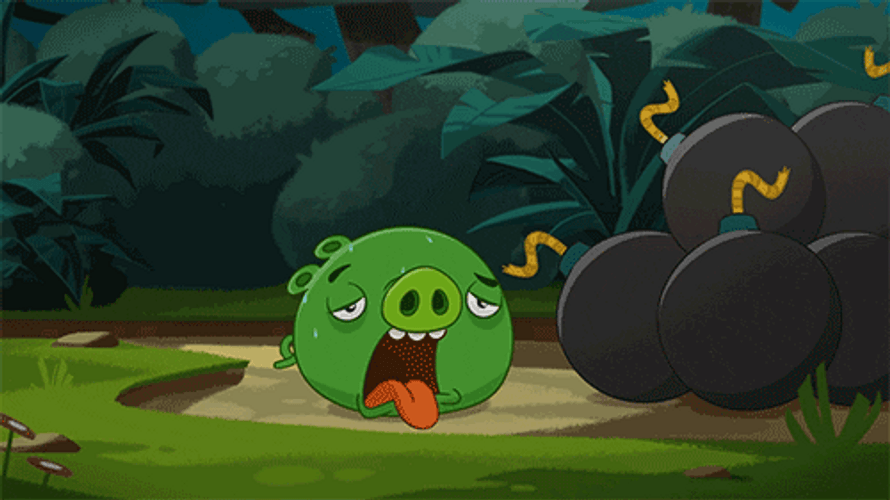 Sweating Pig Angry Birds GIF