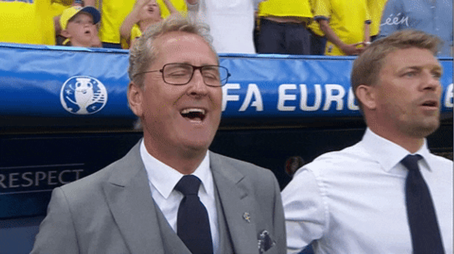 Sweden Erik Hamren GIF