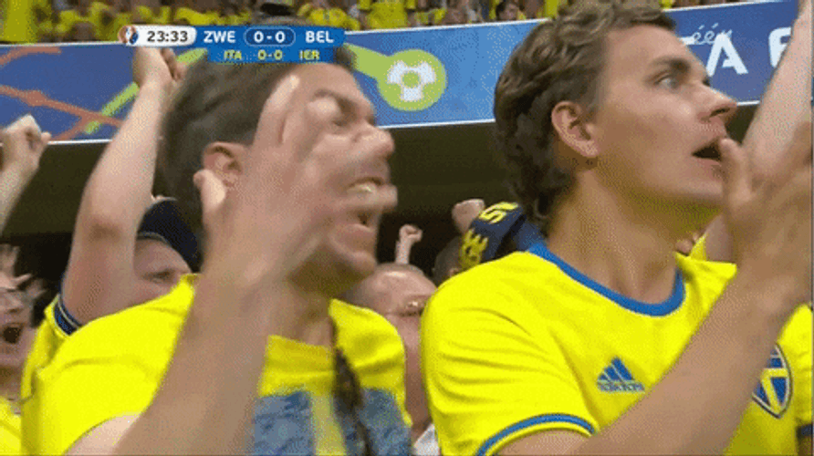 Sweden Football Team Fans GIF