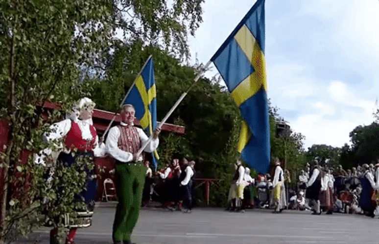 Sweden National Day GIF