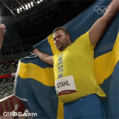 Sweden Stahl Man Holds Swedish Flag GIF