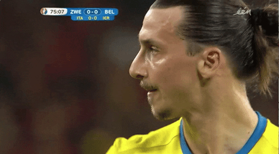 Sweden Zlatan Ibrahimovic GIF