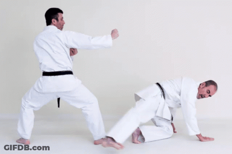 Sweep The Leg Two Men Doing Karate GIF