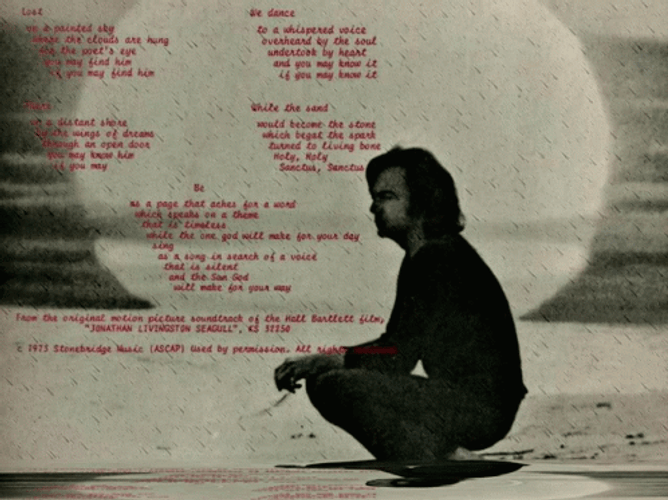 Sweet Caroline Sits Down Neil Diamond GIF