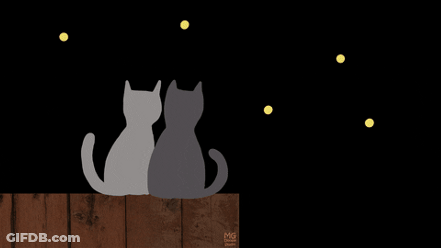 Sweet Cats Cute Happy New Year GIF
