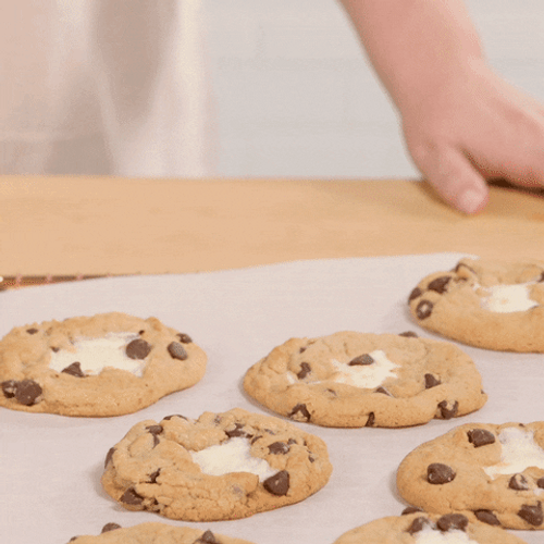 Sweet Chocolate Cookies Food GIF