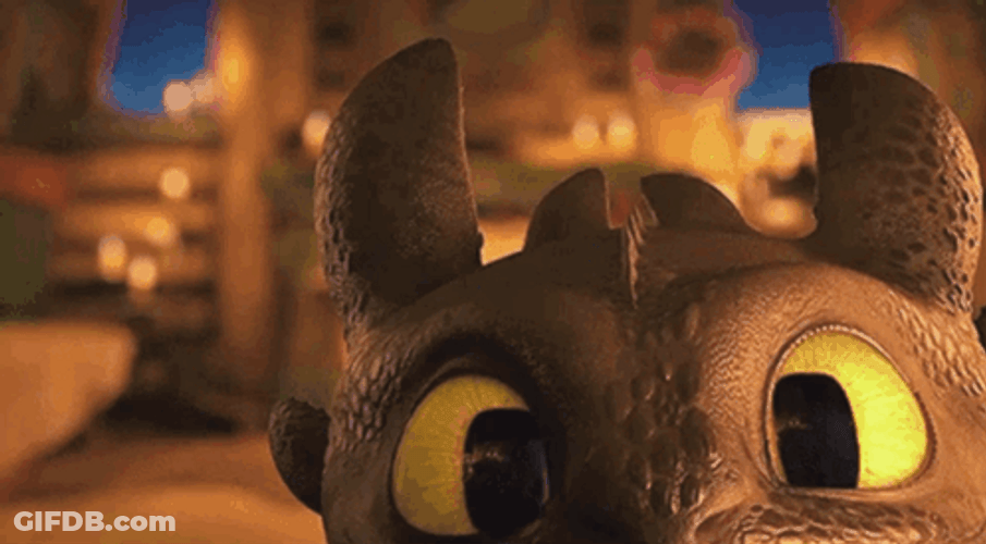 Sweet Close Up Look Toothless Meme GIF