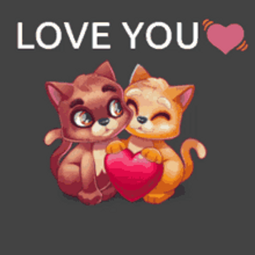 Sweet Couple Cat Animated GIF